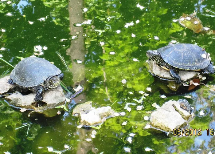 Admiral Szálloda Odessza
