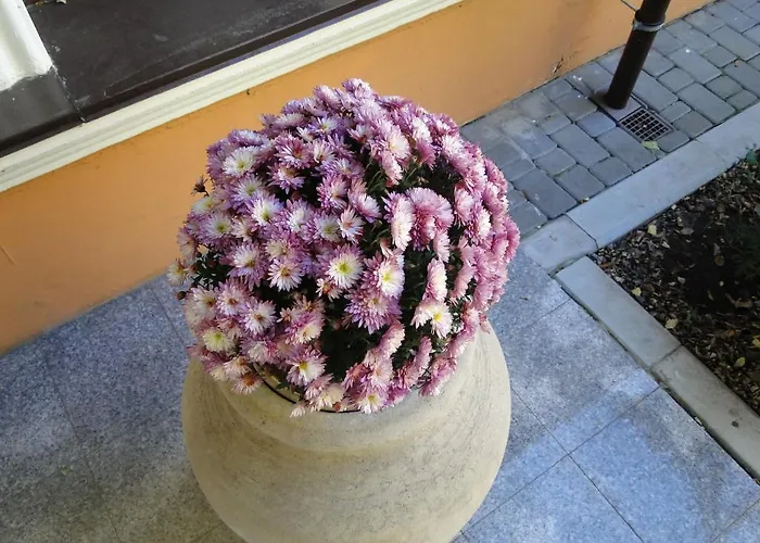 Admiral Hotell Odessa