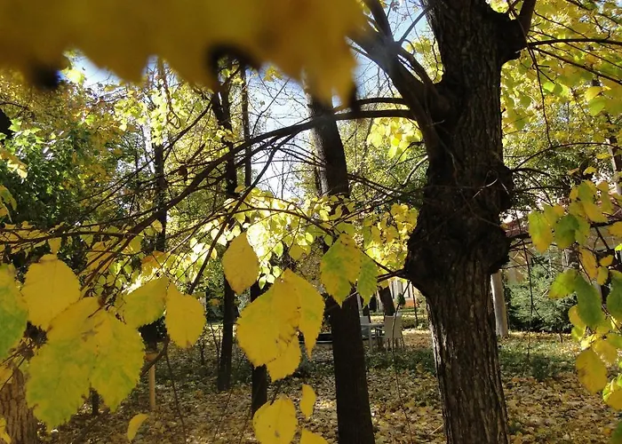 Admiral Hotell Odessa